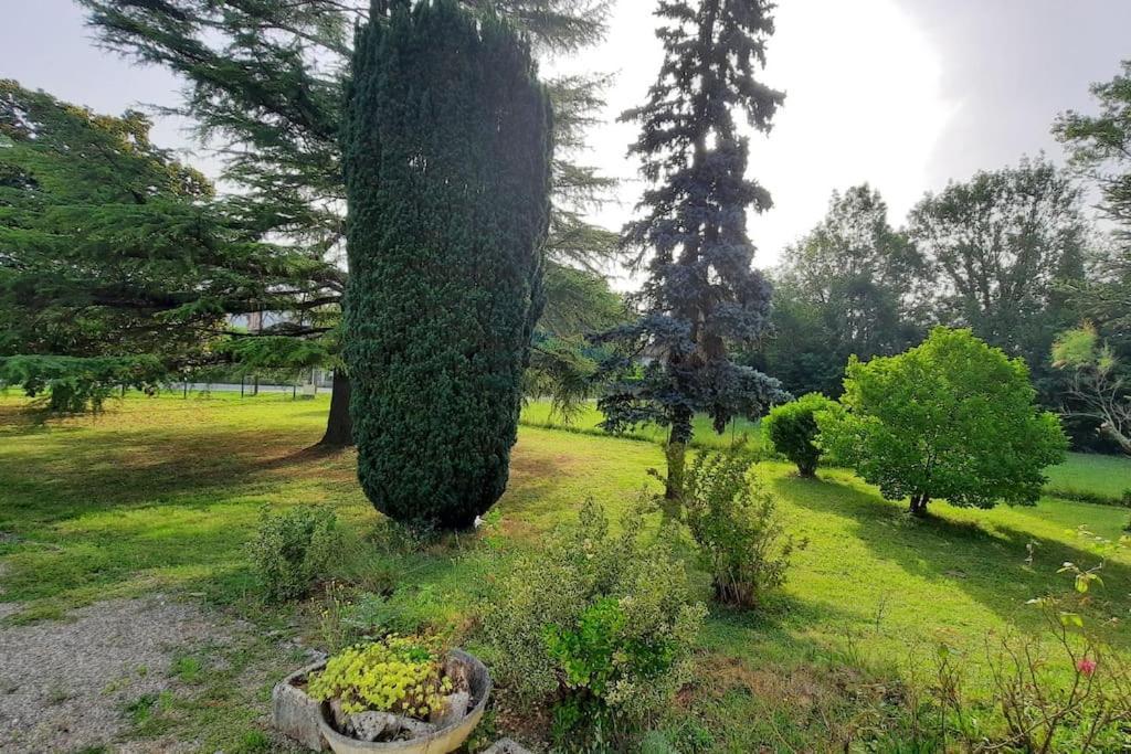 La Maison De Lili Colayrac-Saint-Cirq Extérieur photo