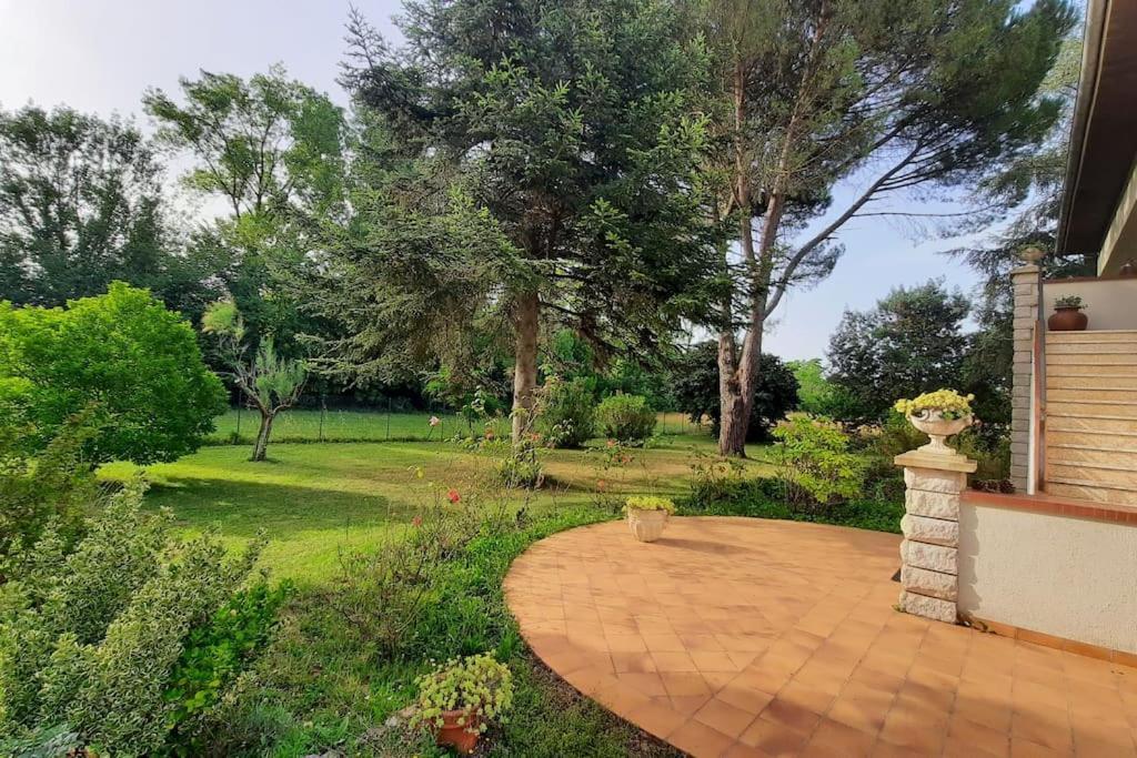 La Maison De Lili Colayrac-Saint-Cirq Extérieur photo