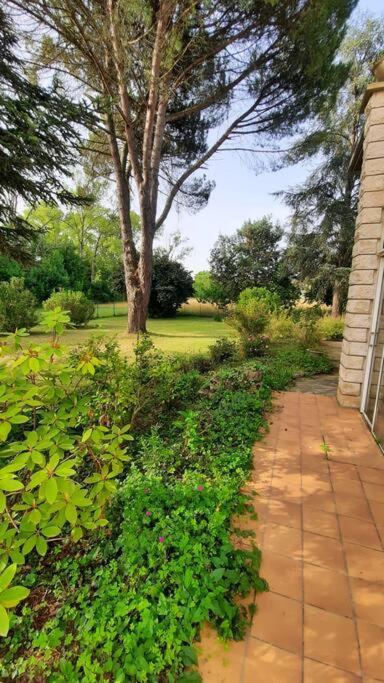 La Maison De Lili Colayrac-Saint-Cirq Extérieur photo