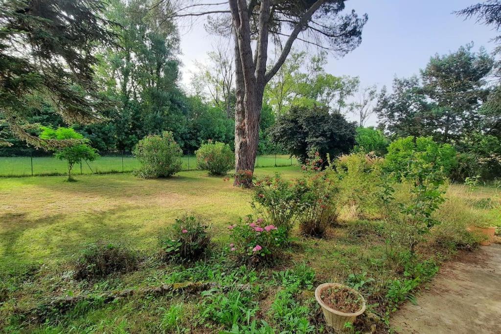 La Maison De Lili Colayrac-Saint-Cirq Extérieur photo