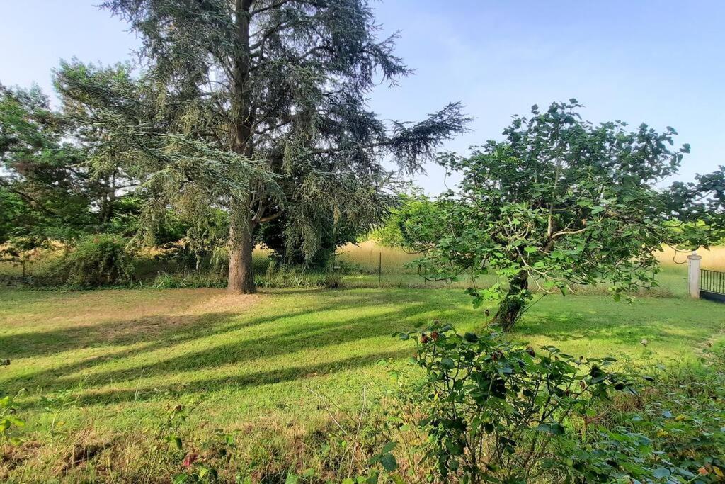 La Maison De Lili Colayrac-Saint-Cirq Extérieur photo
