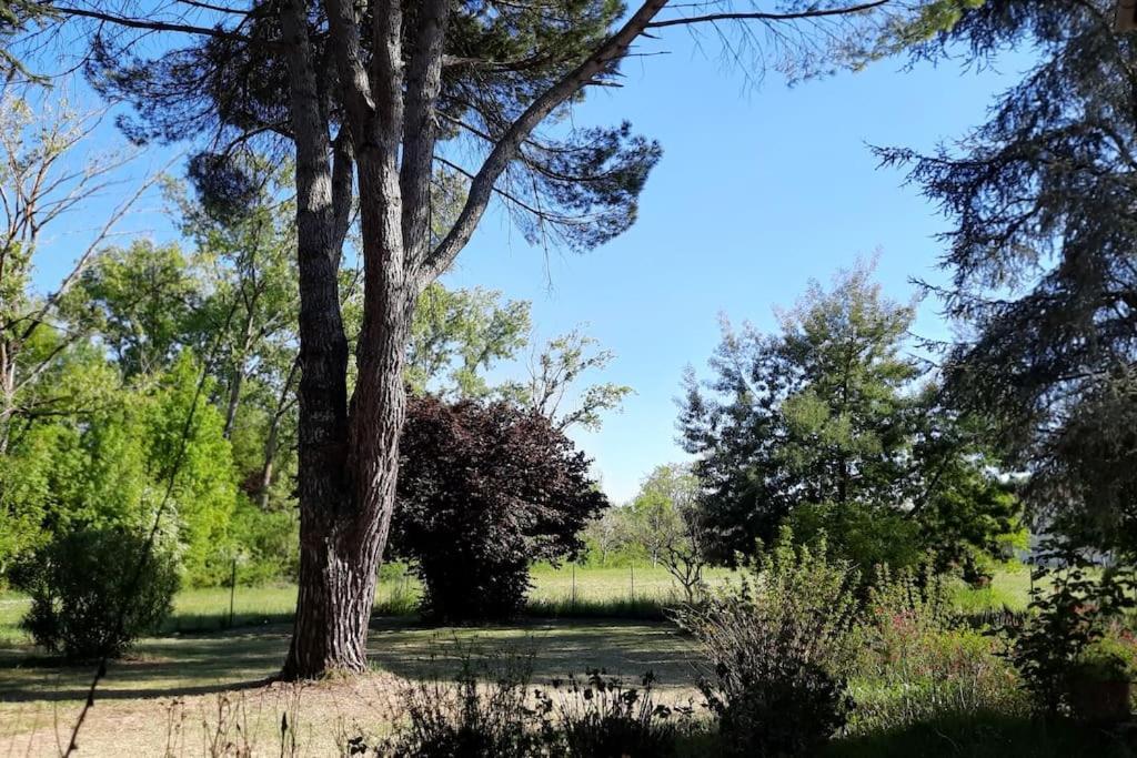 La Maison De Lili Colayrac-Saint-Cirq Extérieur photo
